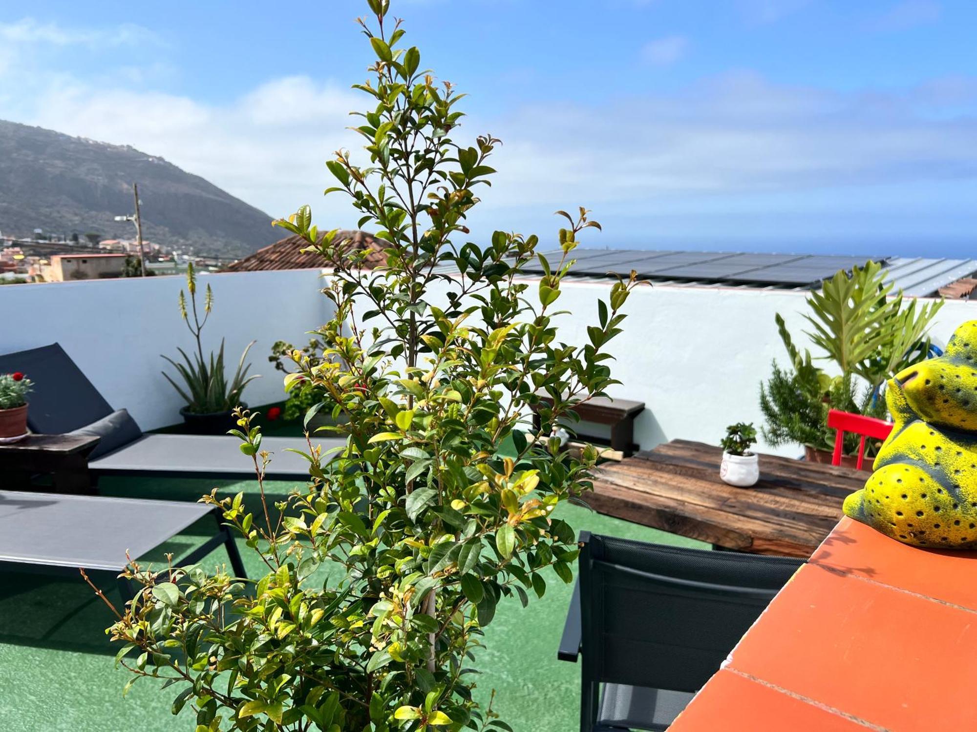 The Little Brezo Stone Home Tenerife Los Realejos Luaran gambar